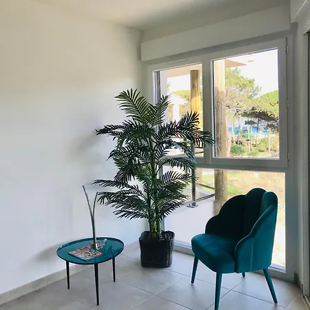 Cote Calvi (Corsica)
